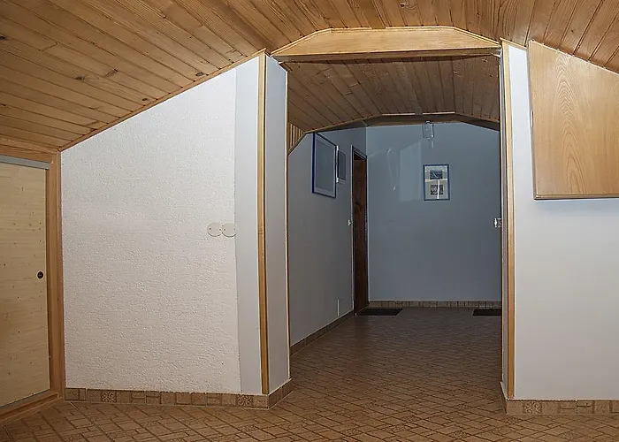 Paolija *